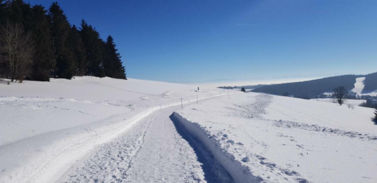 Jules Traum Im Schwarzwald Appartamento